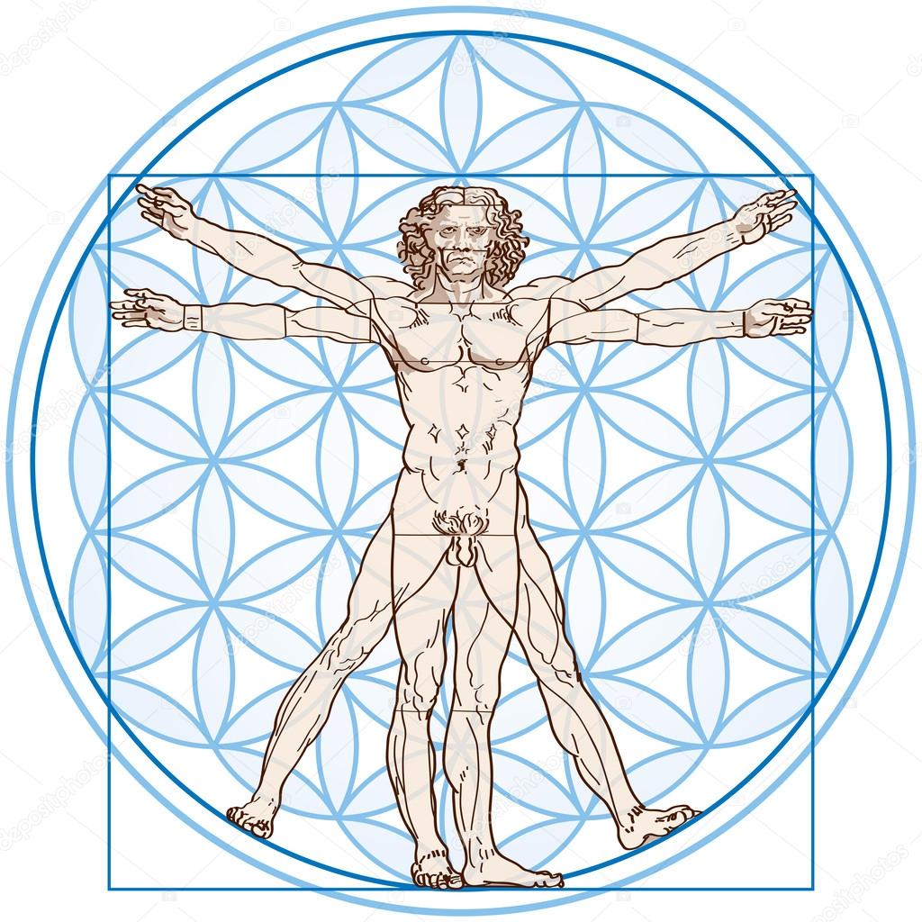 Contact Us - MedBed AI - Vitruvian Man - Flower of life